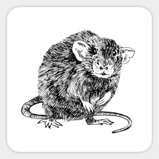 Rat Sticker